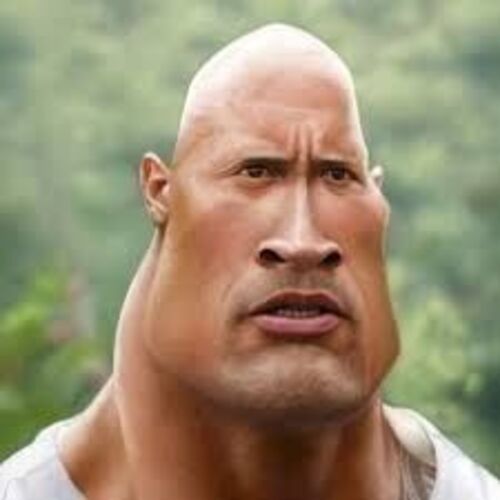 Ảnh The Rock meme hài không đỡ nổi