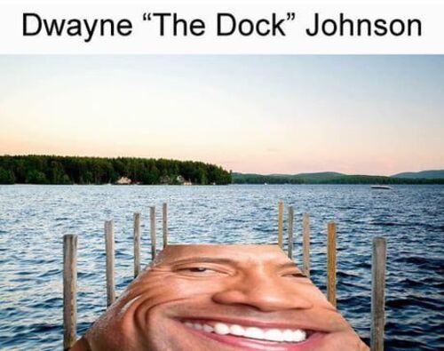 Ảnh The Rock meme nhìn bạn không tin