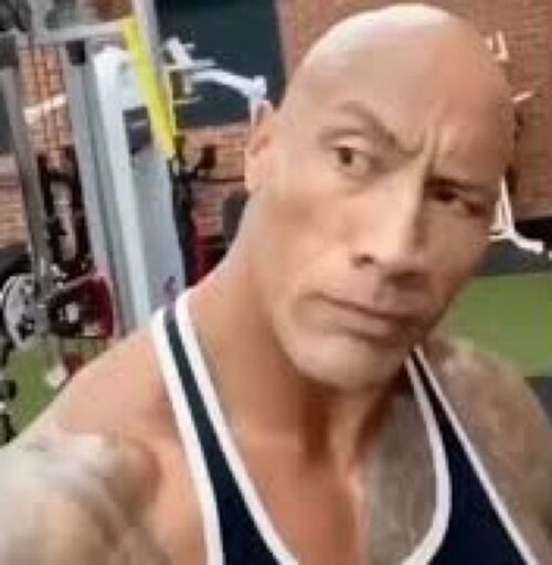 Ảnh The Rock meme nhìn nghi ngờ