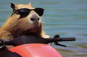 Tổng hợp 100+ ảnh capybara meme đang gây sốt trong cộng mạng