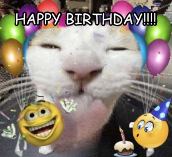 Ảnh cat happy birthday meme