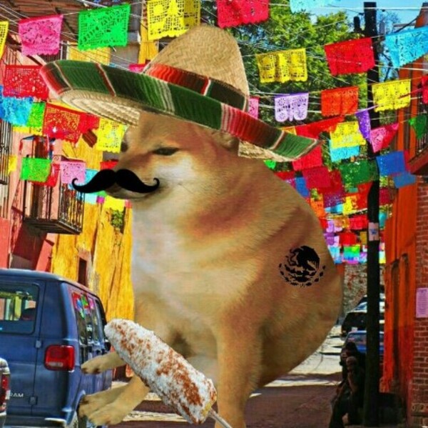 Ảnh cheems meme mexicano