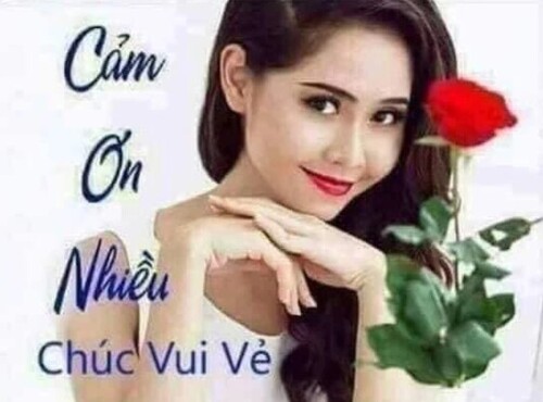 Ảnh hình meme cảm ơn