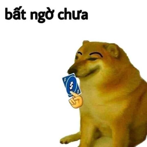 Ảnh meme bất ngờ chưa