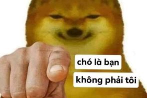 Tổng hợp 100+ ảnh meme bựa có chữ bá đạo nhất mạng xã hội