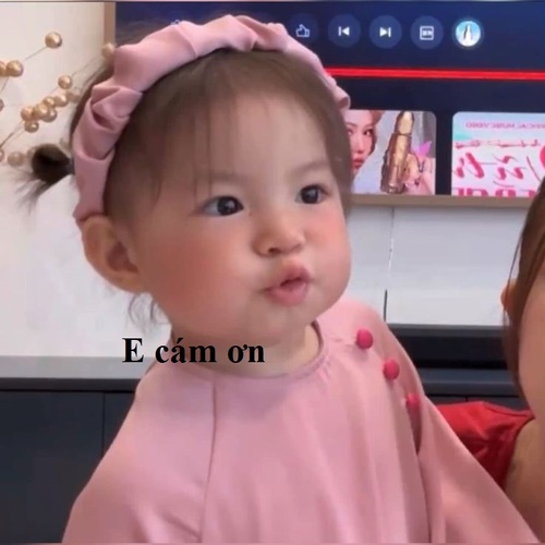 Ảnh meme cảm ơn cute