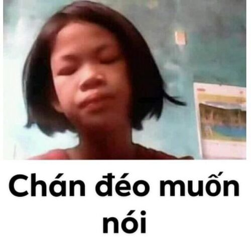 Ảnh meme chê cực gắt