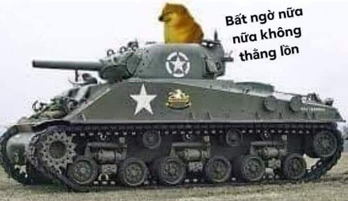 Ảnh meme chó lái xe tăng