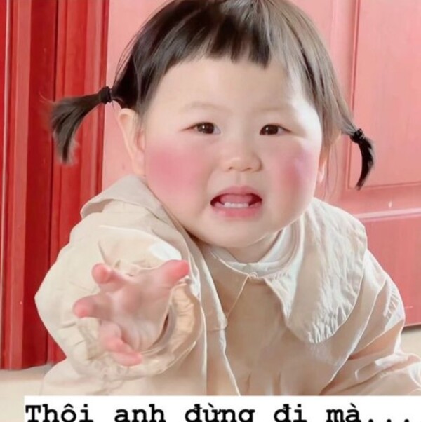 Ảnh meme dễ thương có chữ