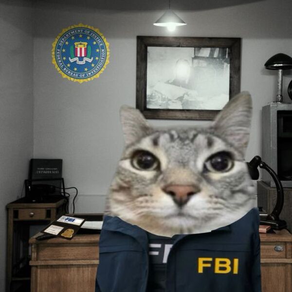 Ảnh meme điệp viên fbi