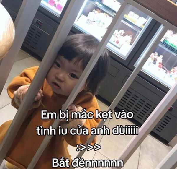 Ảnh meme em bé dễ thương