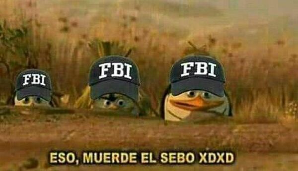 Ảnh meme fbi theo dõi