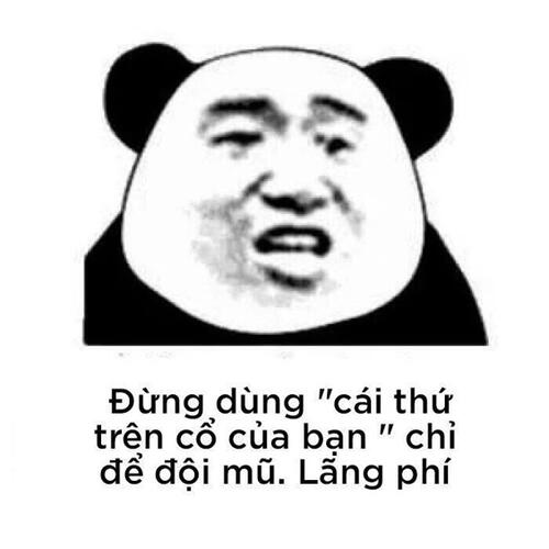 Ảnh meme gấu trúc cảnh báo cực hài hước