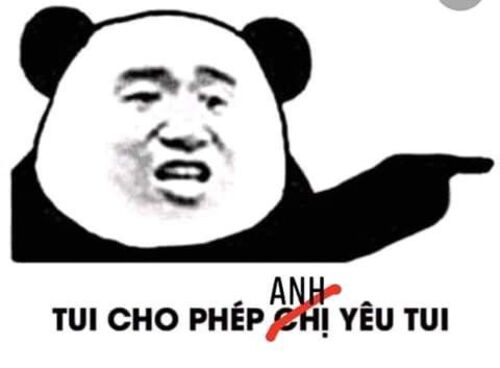 Ảnh meme gấu trúc cảnh báo nguy hiểm hài hước