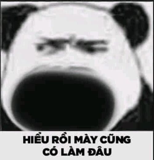 Ảnh meme gấu trúc cảnh báo siêu lầy