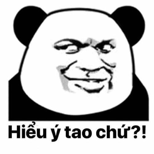 Ảnh meme gấu trúc cảnh cáo cực gắt