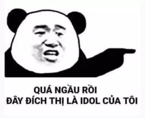 Ảnh meme gấu trúc cảnh cáo đậm chất troll