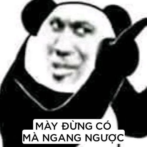 Ảnh meme gấu trúc cảnh cáo nhẹ nhàng