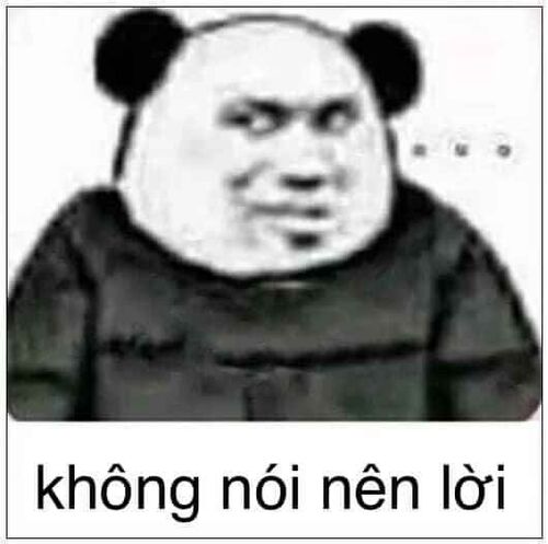 Ảnh meme gấu trúc cảnh cáo vừa đáng yêu vừa hài