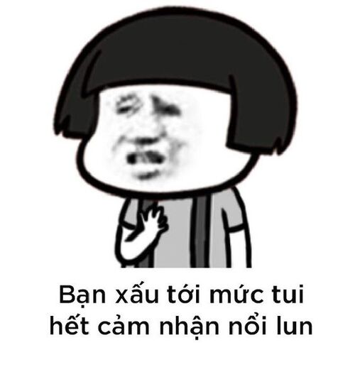 Ảnh meme gấu trúc chế giễu đầy hài hước