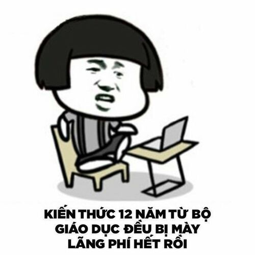 Ảnh meme gấu trúc chế giễu siêu bựa