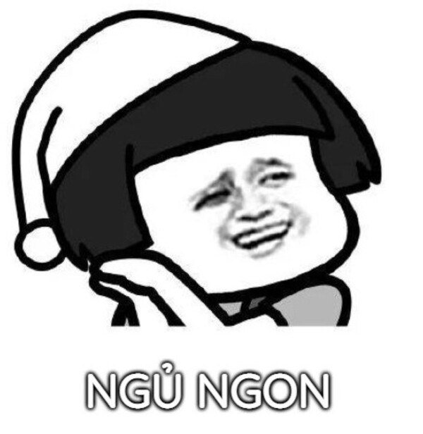 Ảnh meme gấu trúc chúc ngủ ngon