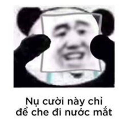 Ảnh meme gấu trúc đá xoáy tinh tế