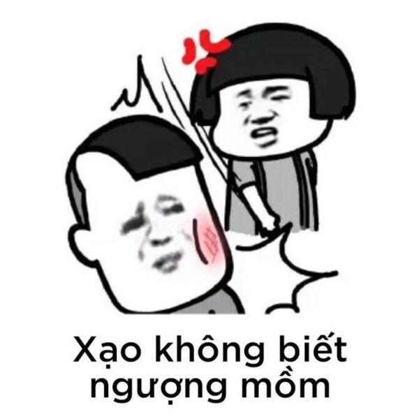 Ảnh meme gấu trúc đánh nhau