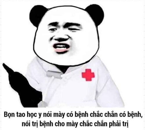 Ảnh meme gấu trúc lầy