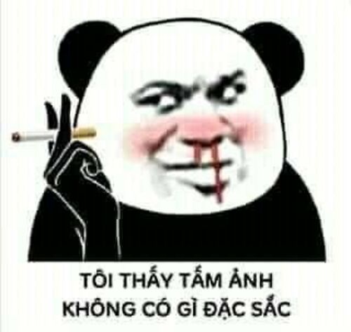 Ảnh meme gấu trúc troll bạn bè vui nhộn