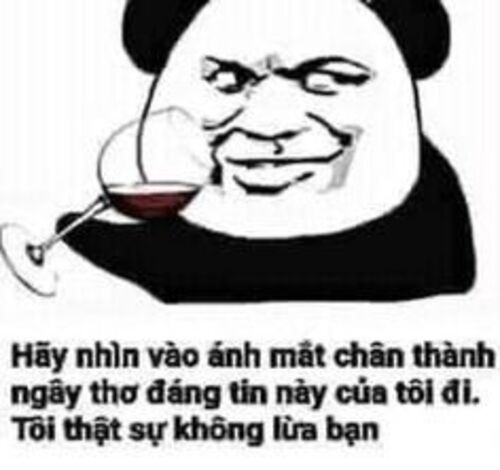 Ảnh meme gấu trúc troll đồng nghiệp cười xỉu