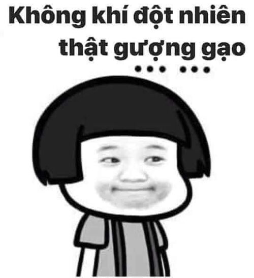 Ảnh meme hài cực đáng yêu