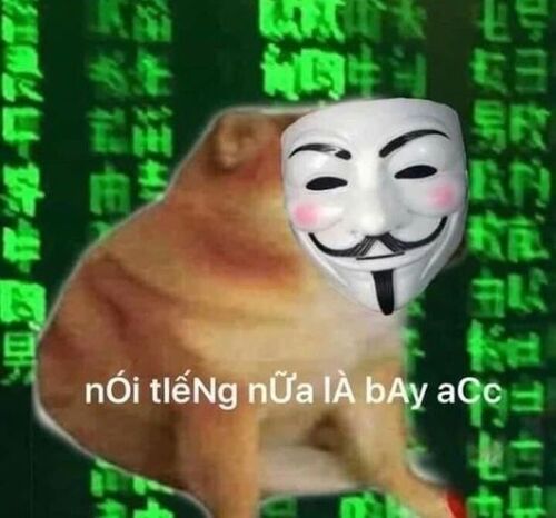 Ảnh meme hài hài hước