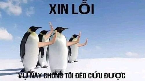 Ảnh meme hết cứu mặt mếu đầy hài hước