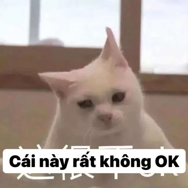 Ảnh meme mèo oke và nụ cười đáng yêu