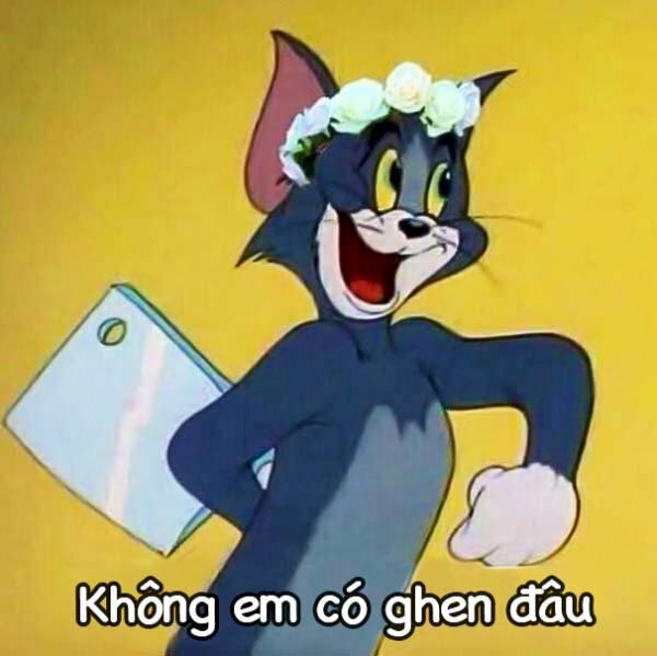 Ảnh meme mèo tom cầm dao