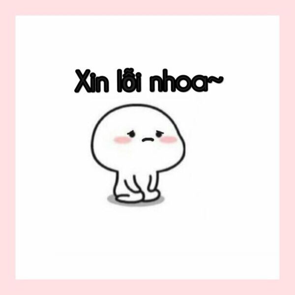 Ảnh meme xin lỗi cute