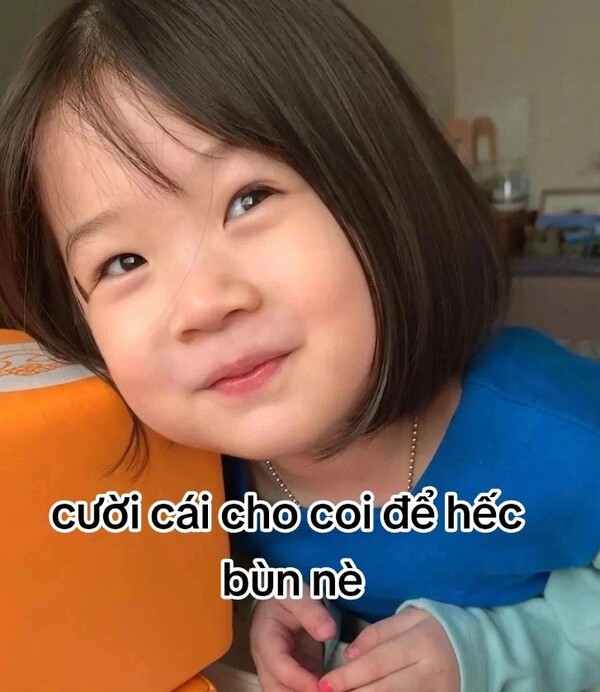 Ảnh meme xin lỗi hài