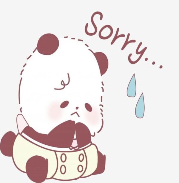 Ảnh sorry meme gấu trúc