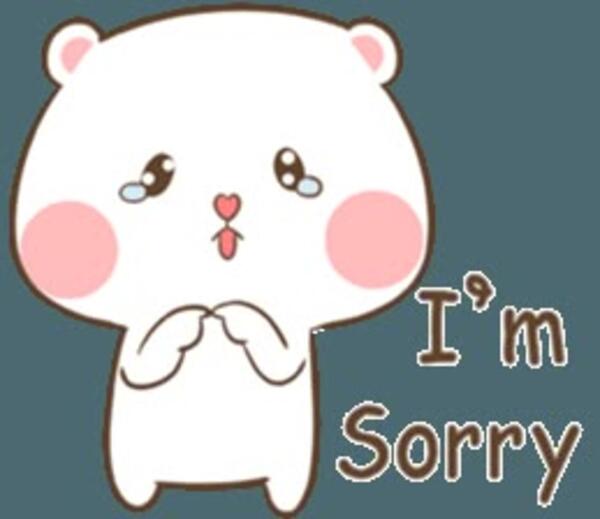 Ảnh sorry meme siêu cute