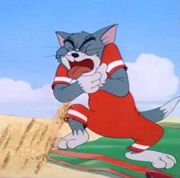 Ảnh tom and jerry meme ăn vạ