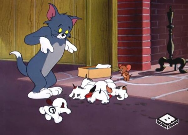 Ảnh tom and jerry meme mệt mỏi