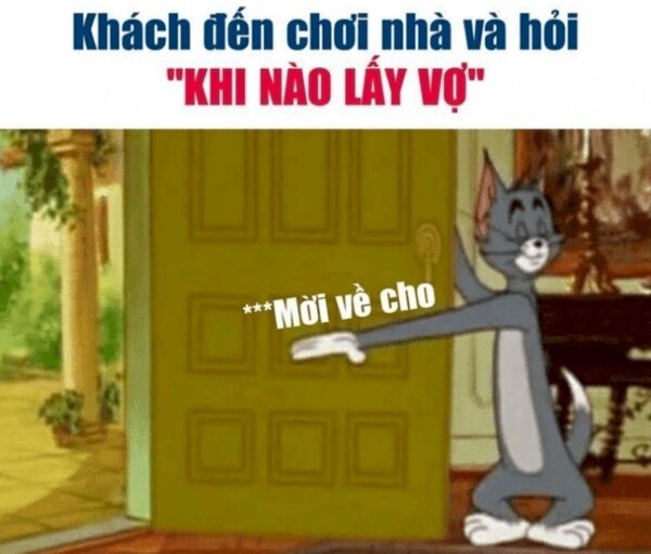 Ảnh tom and jerry meme việt nam hài hước