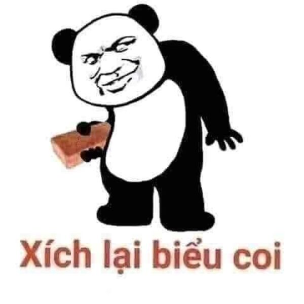 Hình meme gấu trúc tức giận