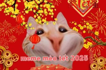 66+ Ảnh meme mèo tết 2025 đầy vui nhộn và mới lạ