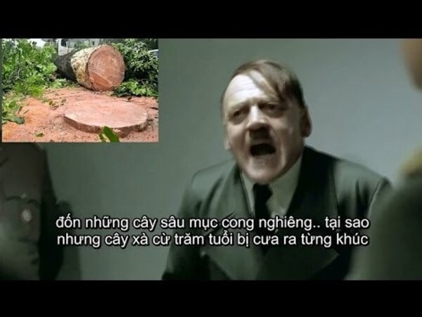 Ảnh Hitler meme có chữ vn