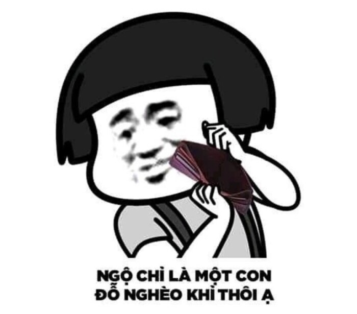 Ảnh gấu trúc meme hết tiền