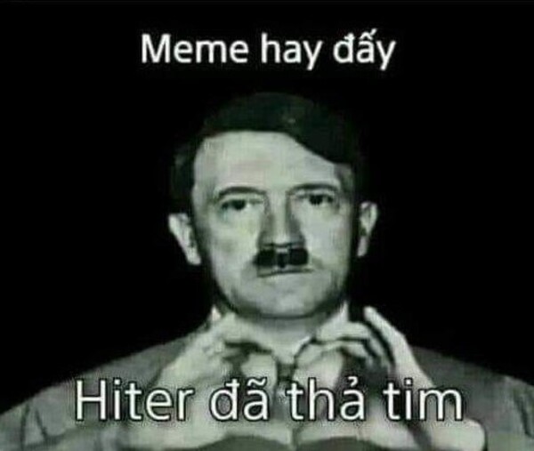 Ảnh hitler meme vn