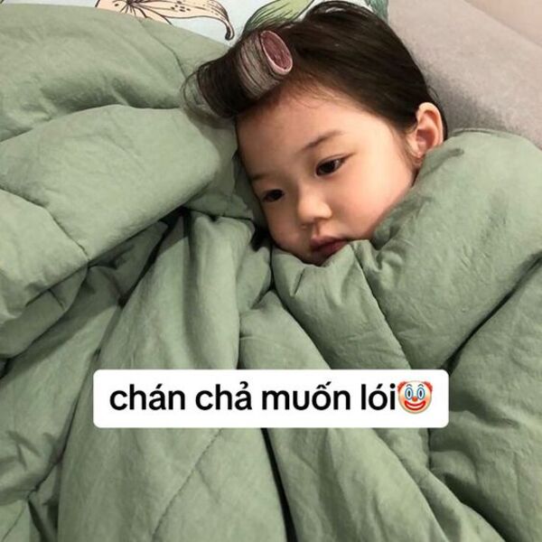 Ảnh meme bơ người yêu