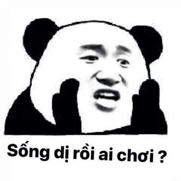 Ảnh meme chửi bạn